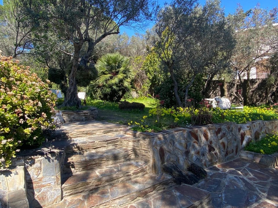 Spring, Day, Garden view