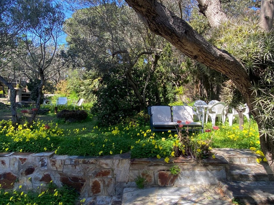 Spring, Day, Garden view