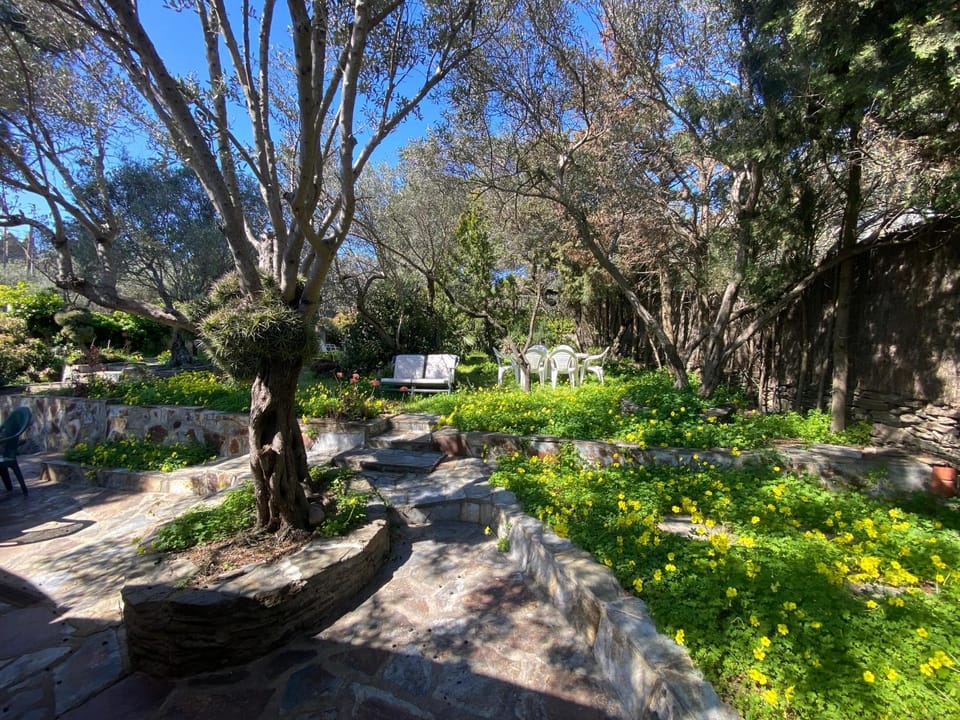 Spring, Day, Garden view