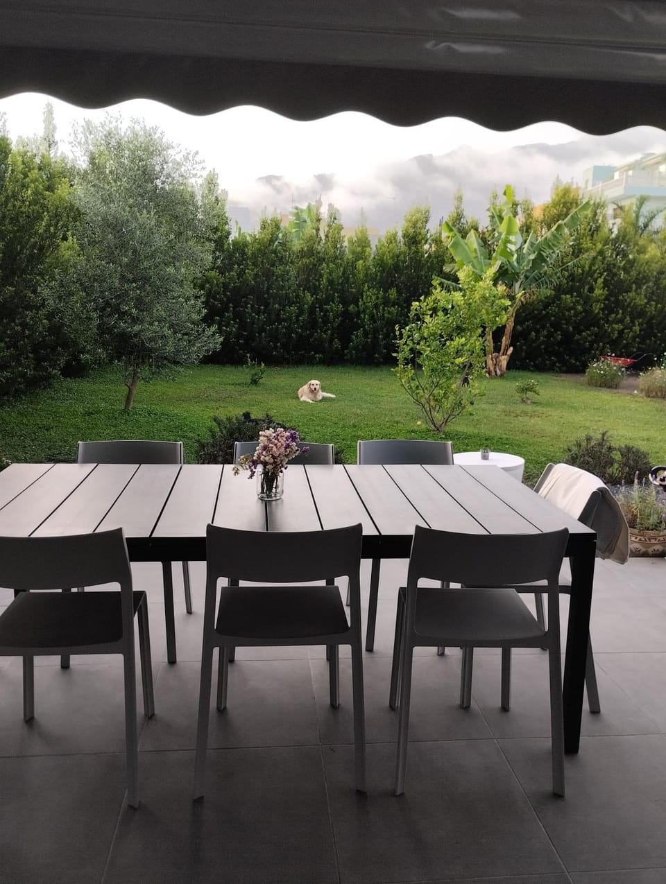 Casa Quintilia Apartment in La Palma