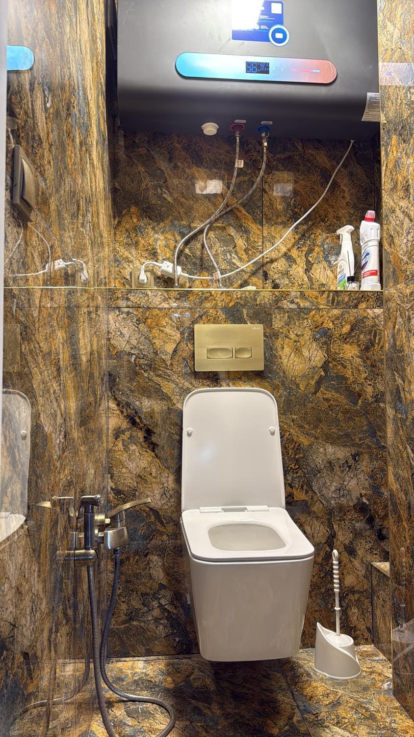 Toilet