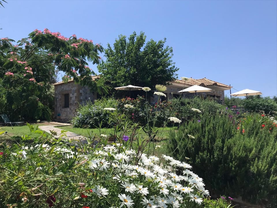 Property building, Garden