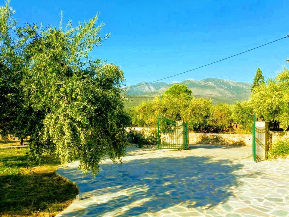 Natural landscape, Garden
