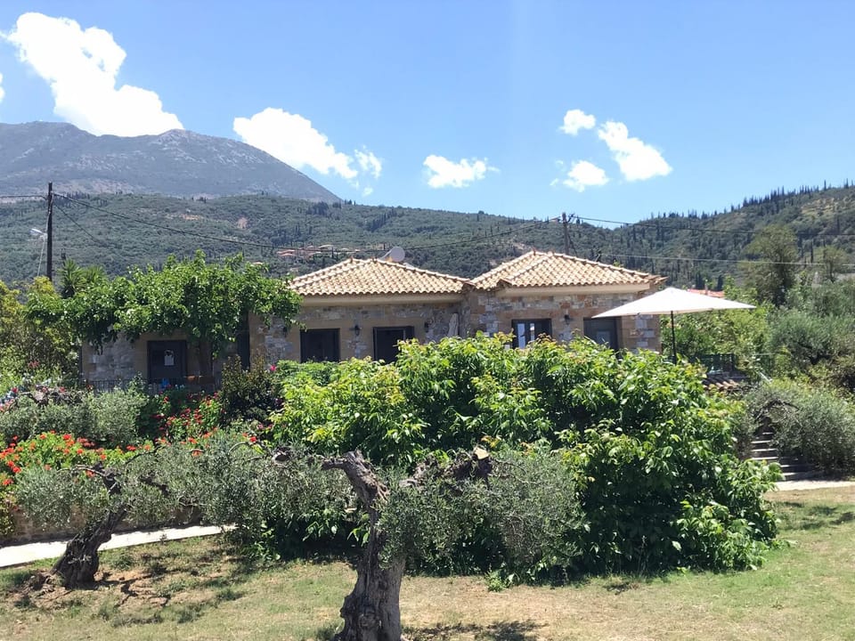 Property building, Garden, Mountain view