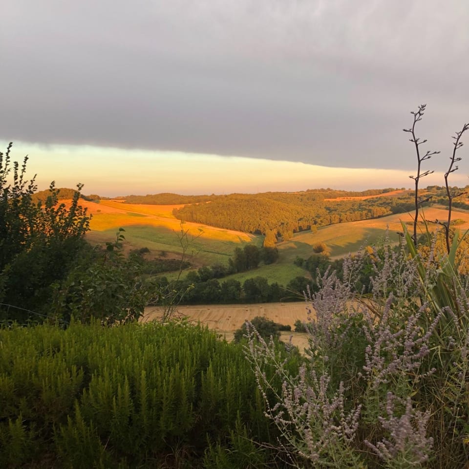 Natural landscape