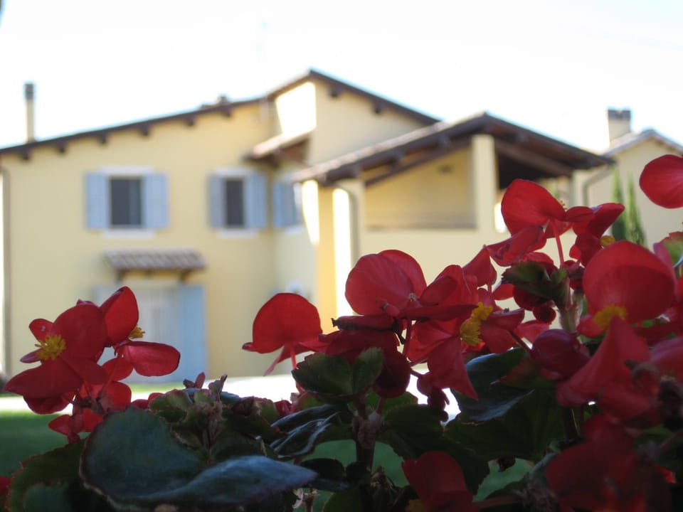 Garden view, Landmark view