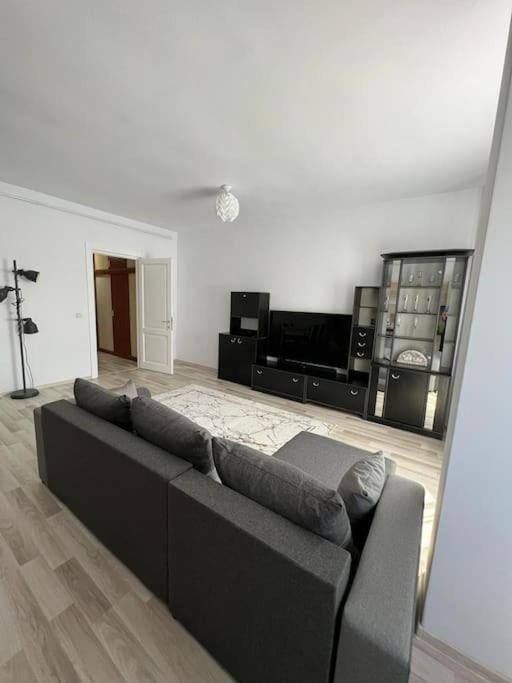 Alex 3 Apartament Apartment in Moldova