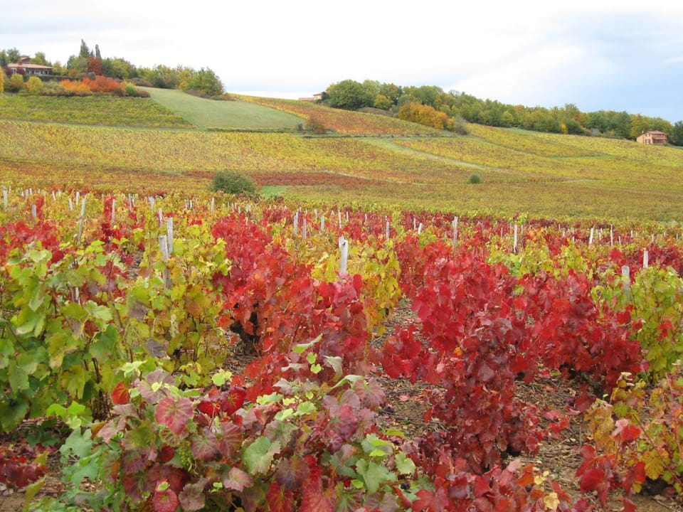 Off site, Day, View (from property/room), Autumn, Area and facilities, Entertainment