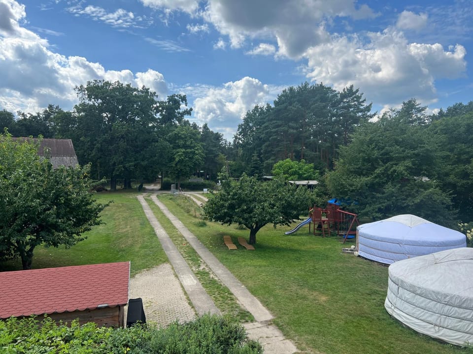 Garden view