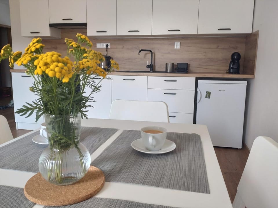 Coffee/tea facilities, Kitchen or kitchenette, Dining area, stove, toaster