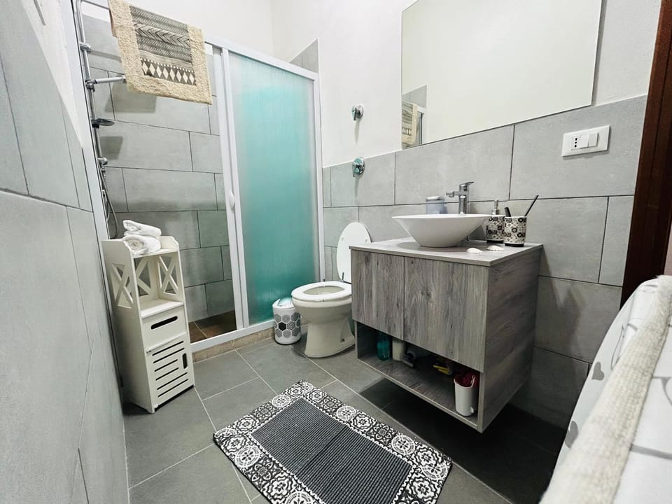 Shower, Toilet, Bathroom, towels