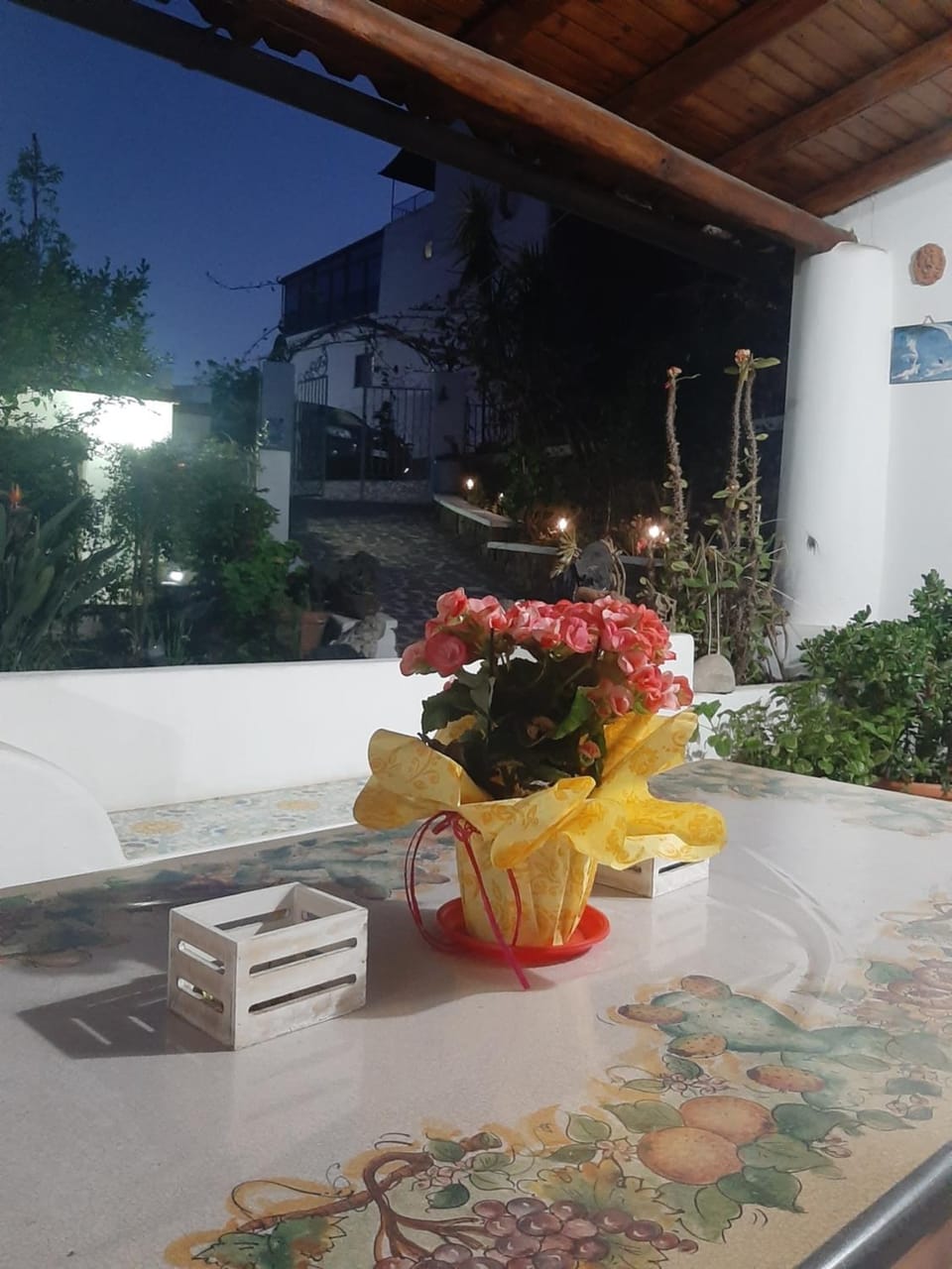 Garden view