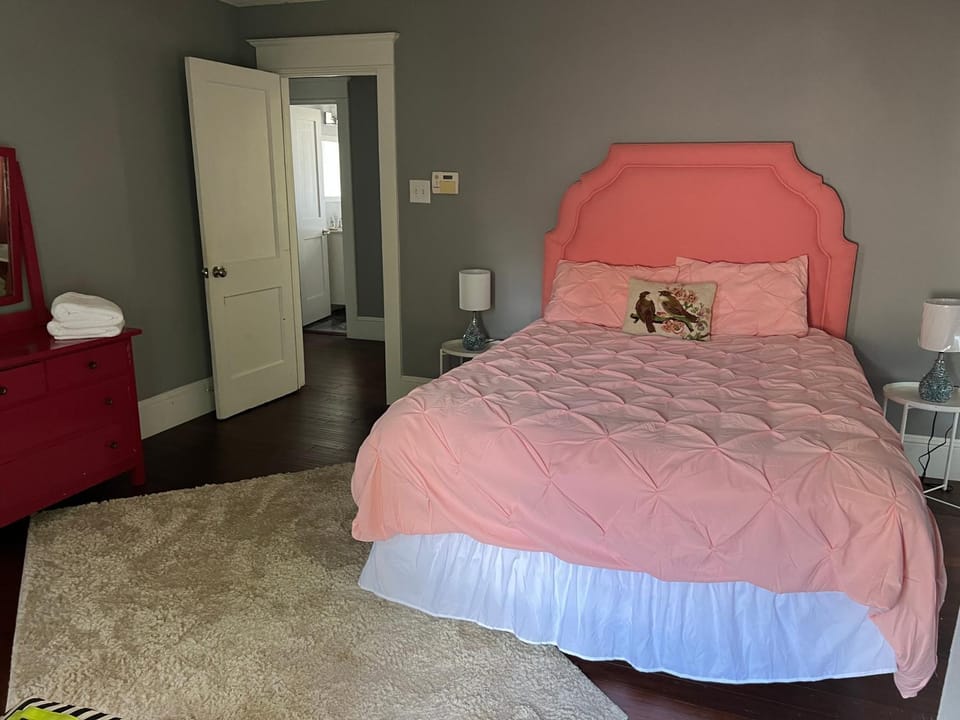 Pet friendly home in Historic Springfield near TIAA Villa in Jacksonville