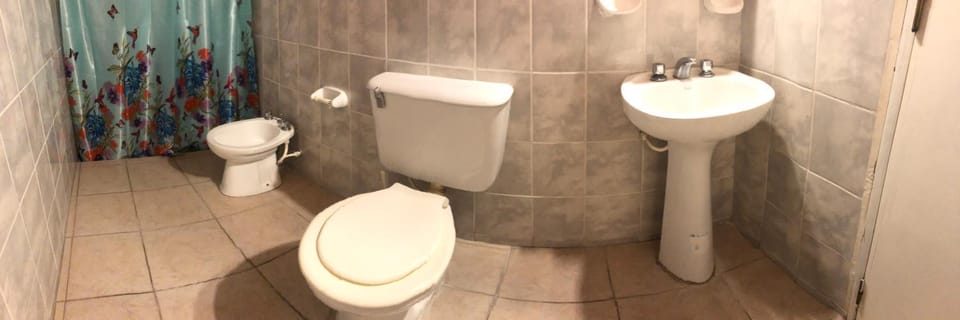Shower, Toilet, Bathroom, bidet