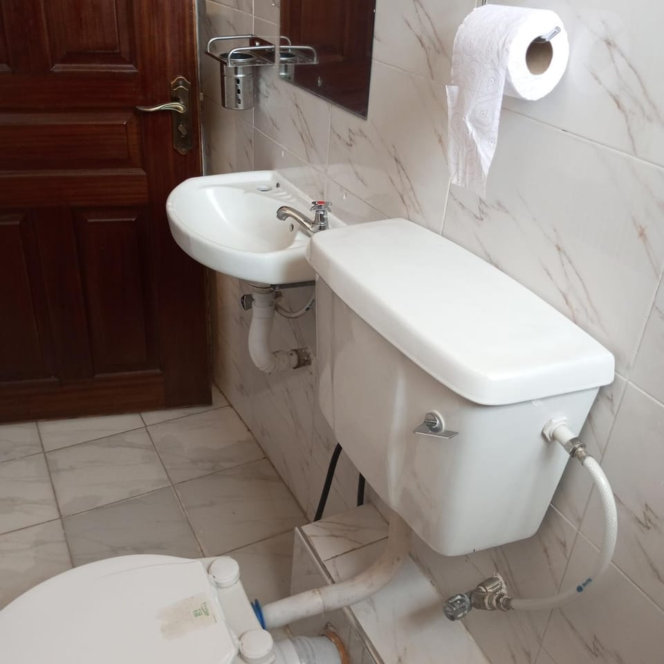 Toilet, Bathroom, bidet