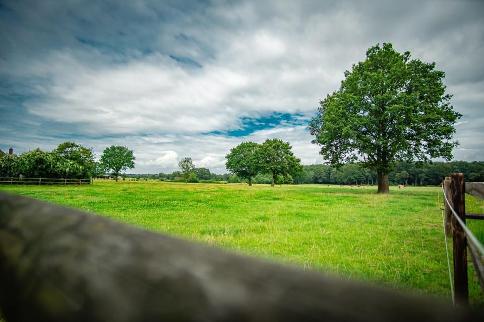 Spring, Day, Natural landscape, Garden