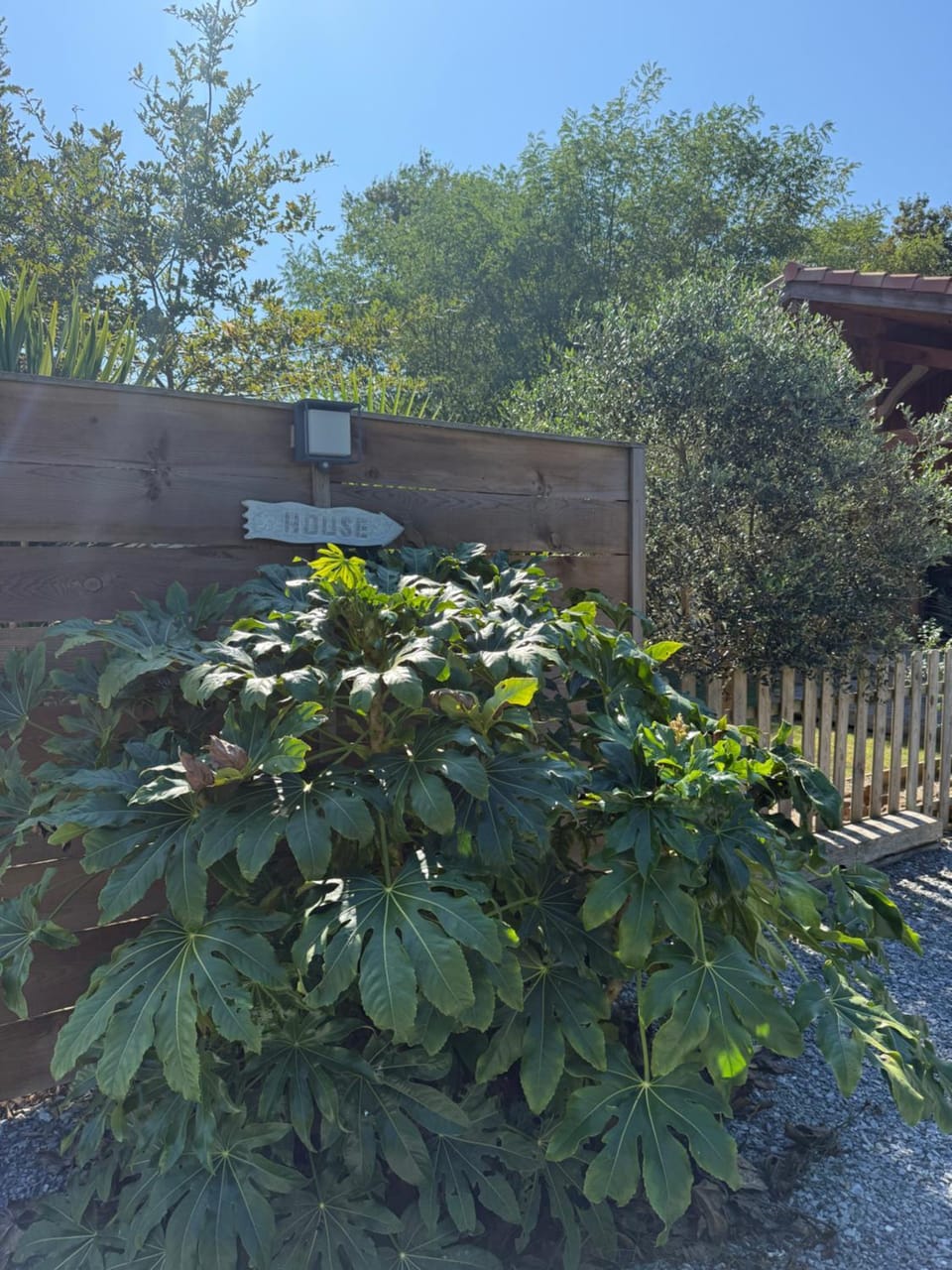 La cabane d' Esting House in Mimizan