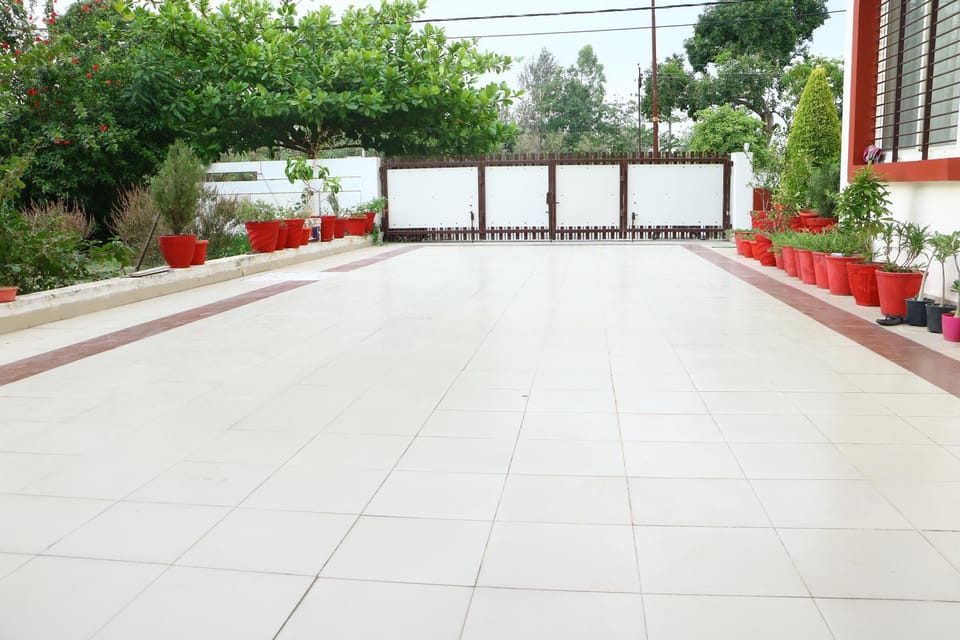 Garden view