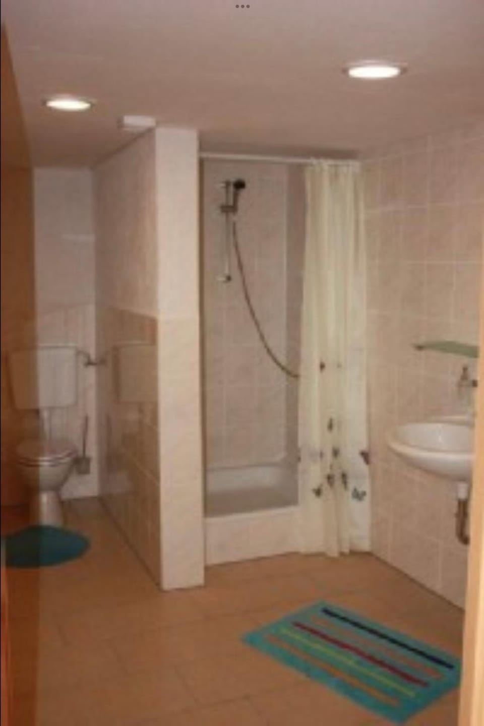 Shower, Toilet