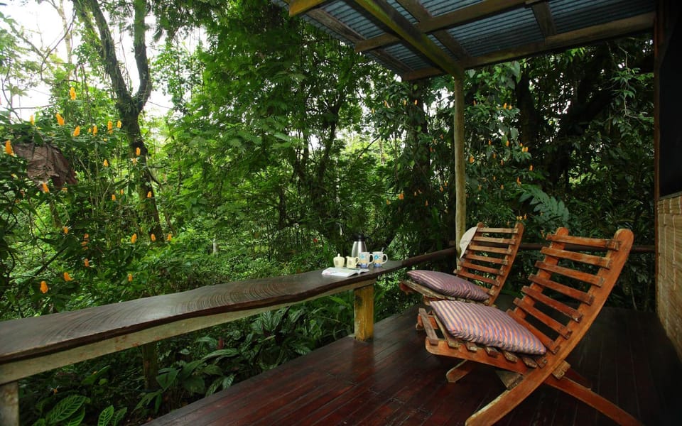 View (from property/room), Balcony/Terrace, Balcony/Terrace