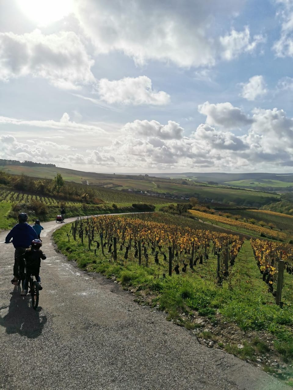 Natural landscape, Cycling