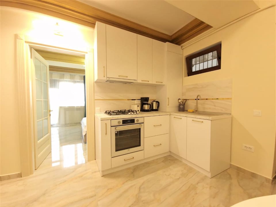 Laroka House Luxury Apartment City Center Universitate Apartment in Bucharest
