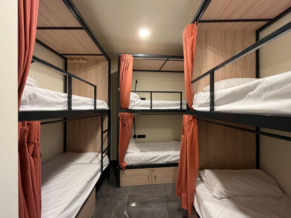 Bed, Photo of the whole room, Bedroom, bunk bed