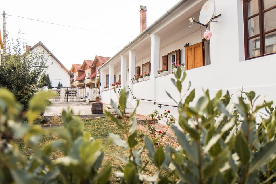 Property building, Garden, Garden view