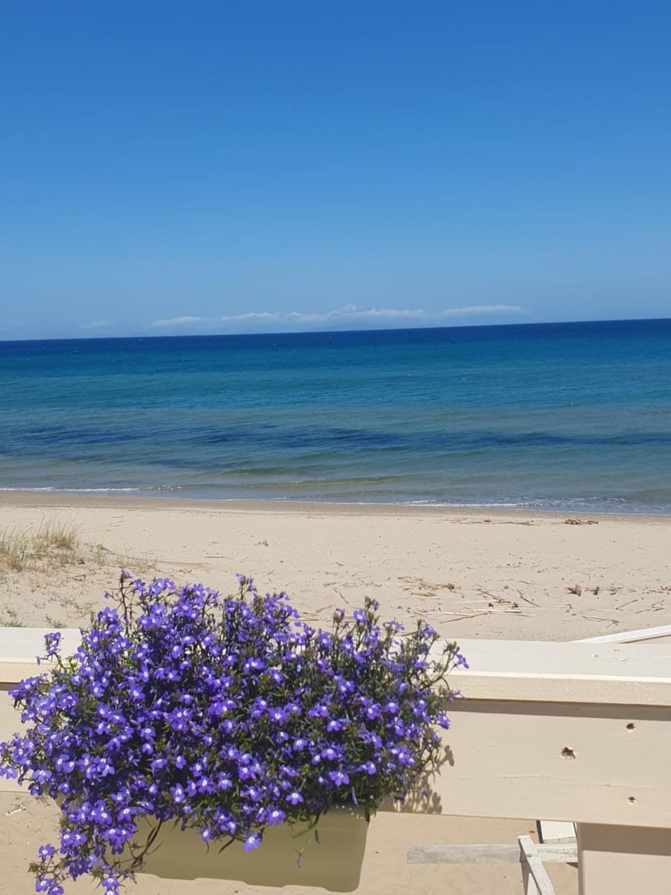 Villa Maddalena guest house Apartment in Sardinia