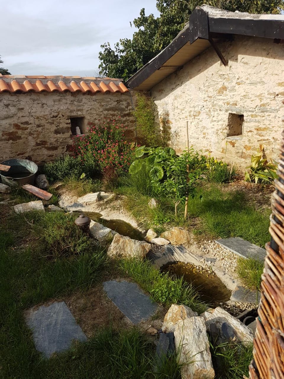 Garden view
