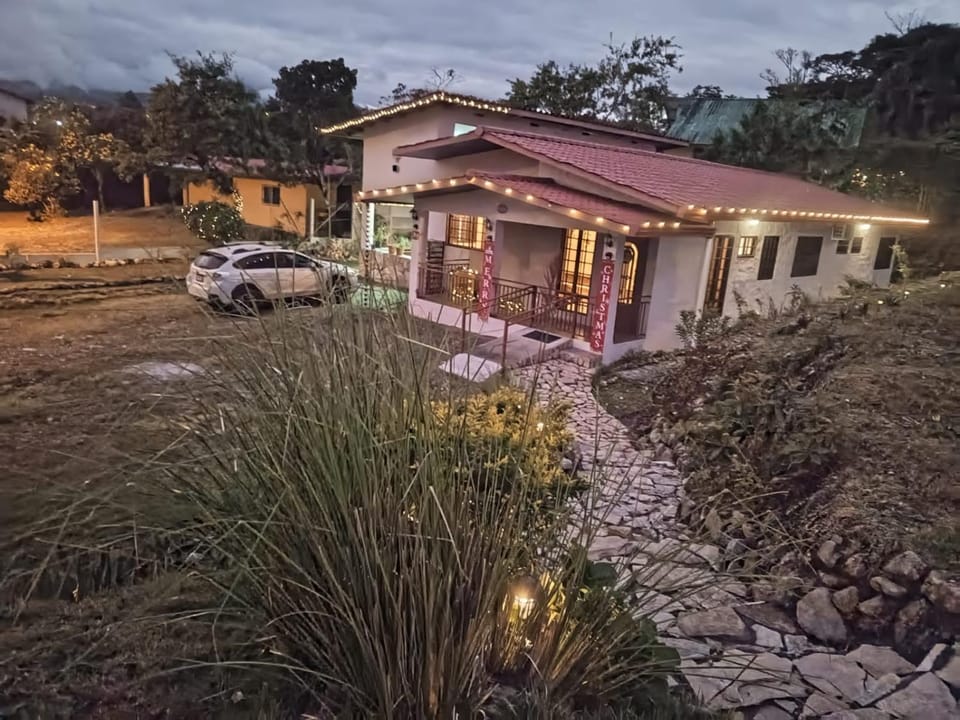 Property building, Night, Garden