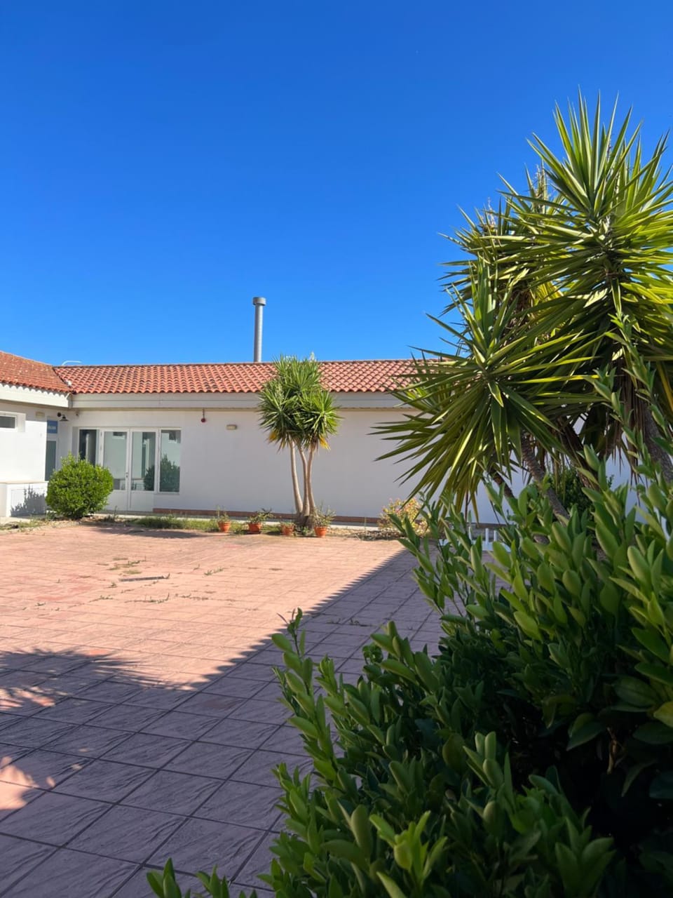 Property building, Spring, Day, Garden, Garden view