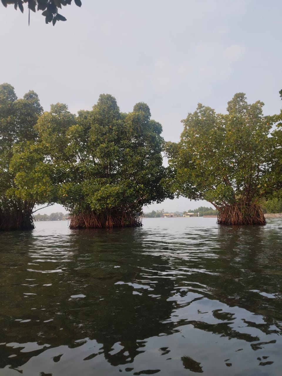 Bliss Homestay Munroe Island Vacation rental in Kerala