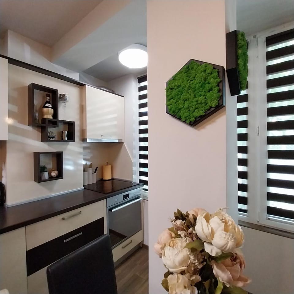 Kitchen or kitchenette, minibar, pet friendly, stove