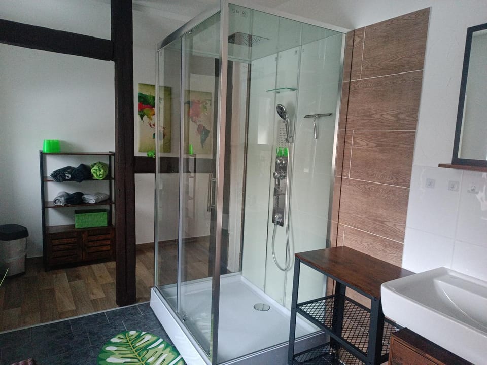 Shower, Bathroom, Photo of the whole room, towels
