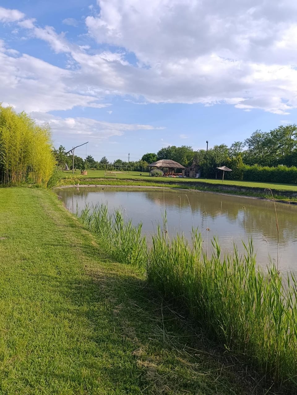 Jezero apartman privatnost Apartment in Vojvodina