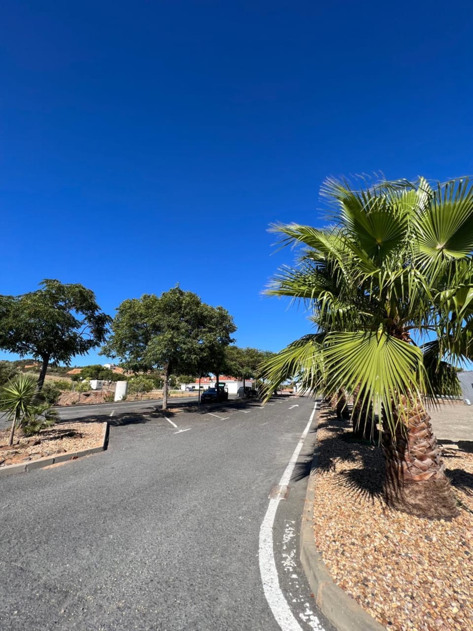Spring, Day, Neighbourhood, Natural landscape