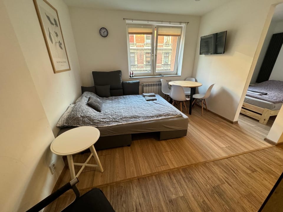 ApartamentsByMatyrafa-IV Apartment in Czechia