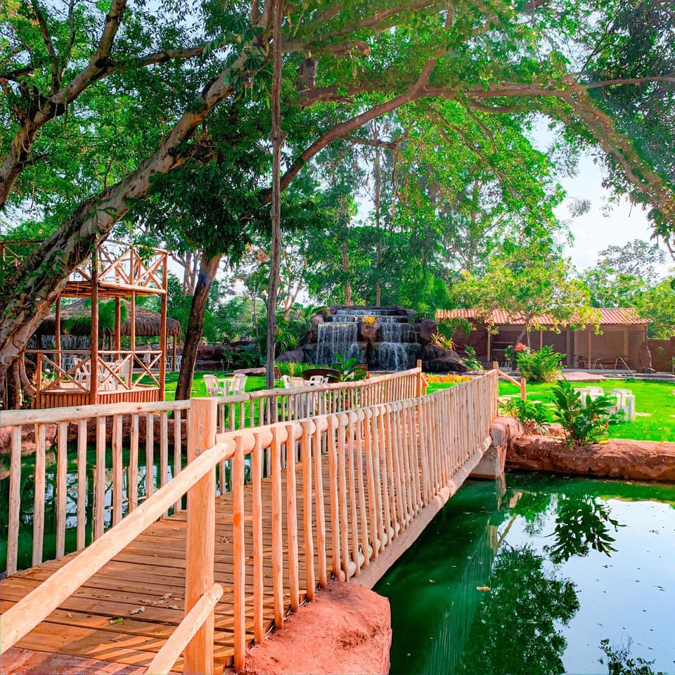 Natural landscape, Garden view, Lake view