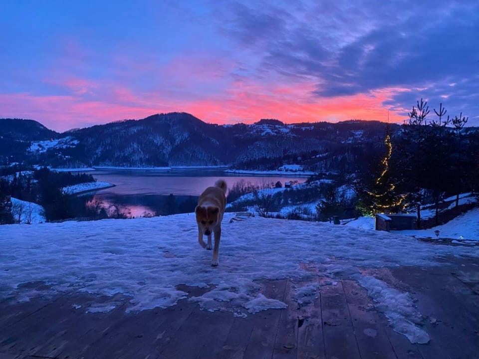 Tara Land Lake Country House in Zlatibor District, Serbia