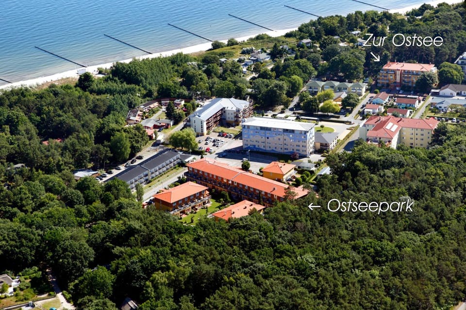 Neighbourhood, Natural landscape, Bird's eye view, Beach