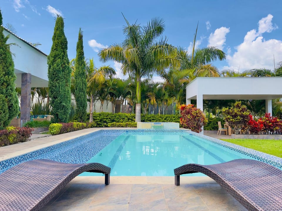 Spring, Day, Garden, Garden view, Pool view, Swimming pool, Swimming pool, sunbed