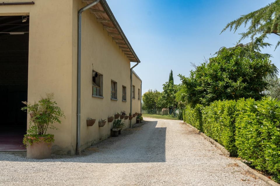 Garden, Garden view, Parking