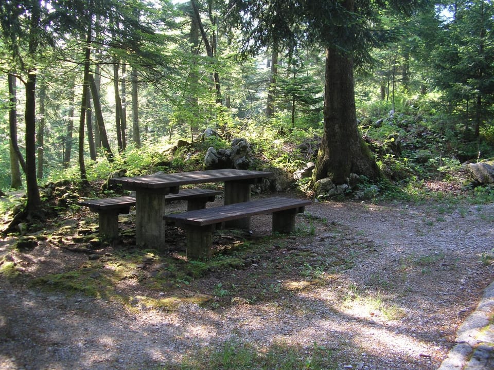 Area and facilities