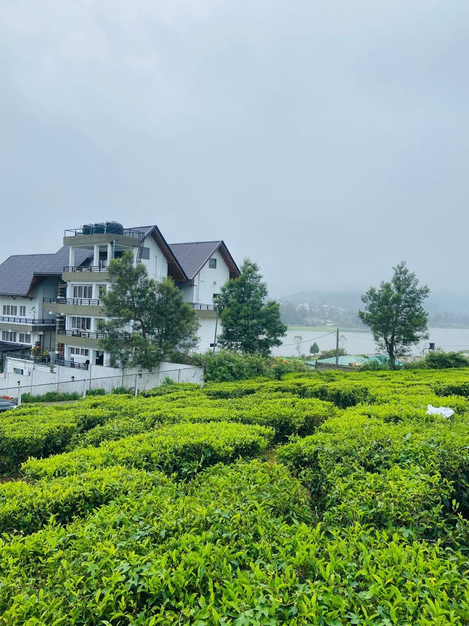 Property building, Natural landscape, Lake view
