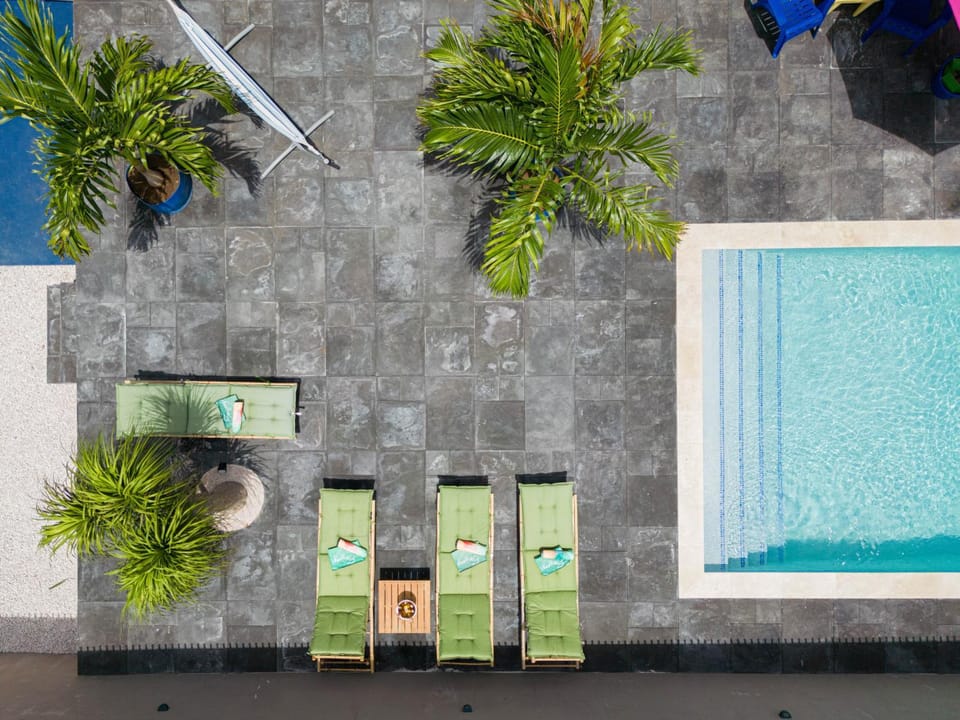 Garden, Pool view, Swimming pool, sunbed