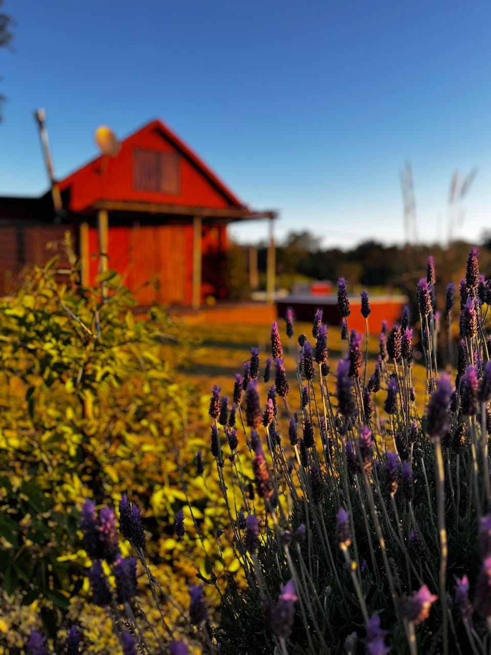 Property building, Day, Garden