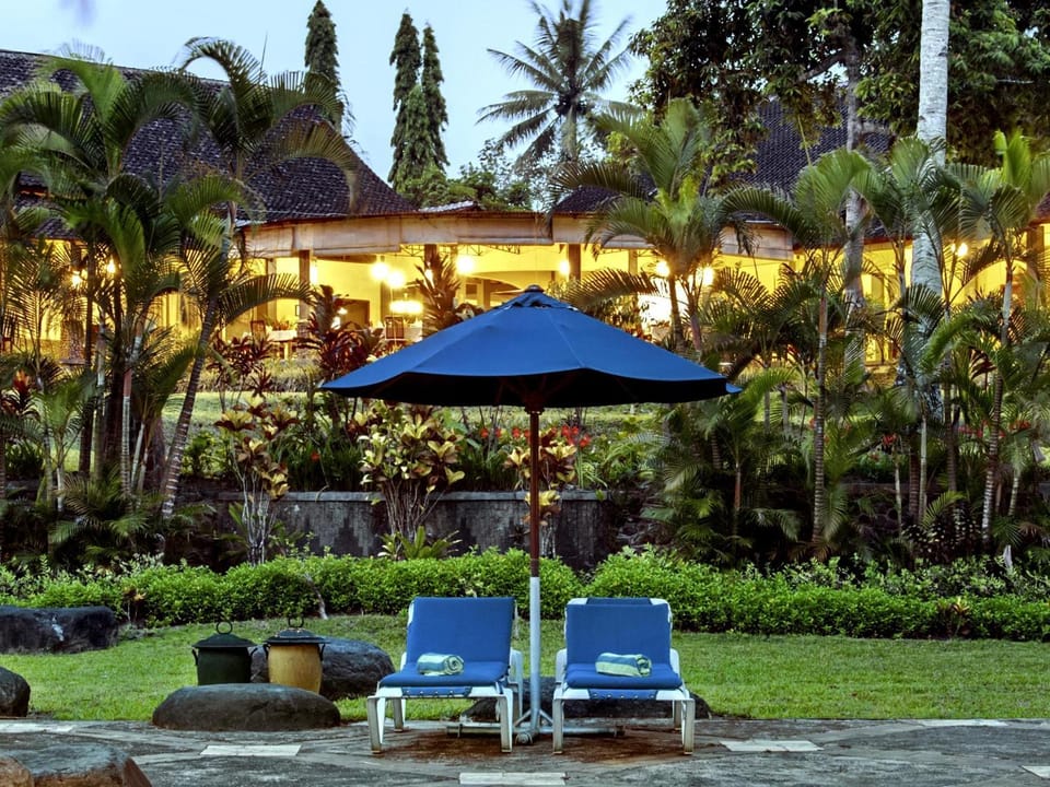 Garden, Swimming pool
