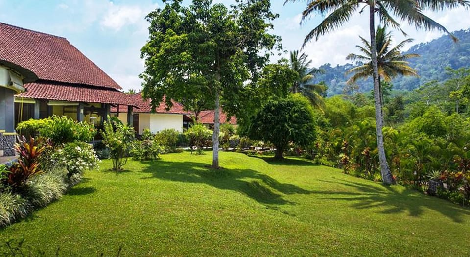 Garden, Garden view