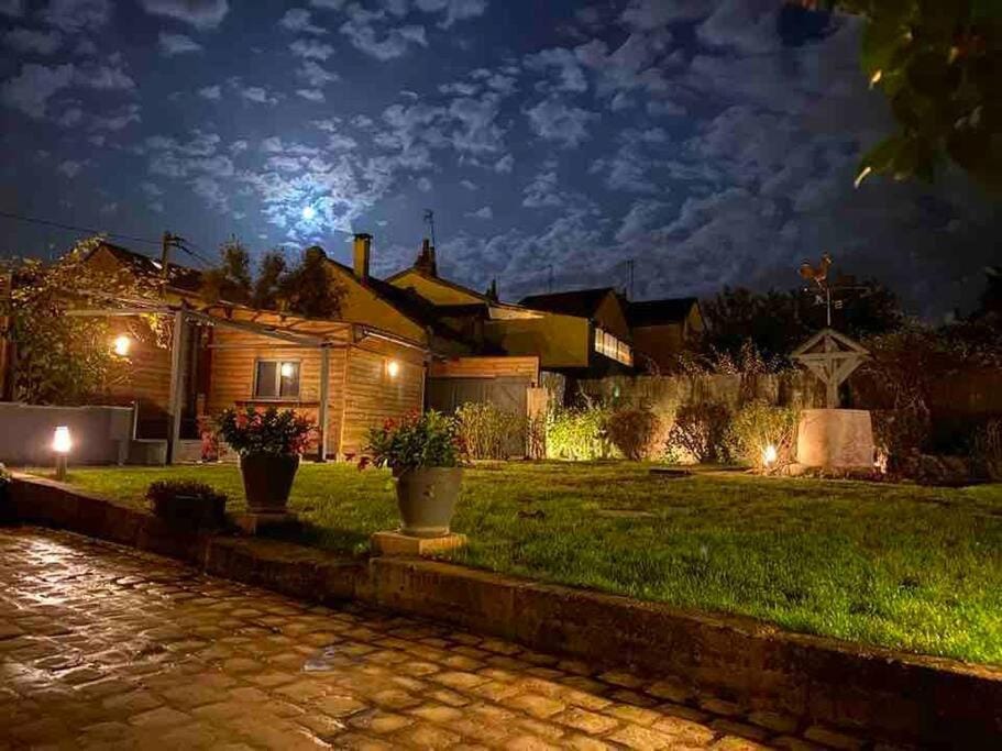 Night, Garden, Garden view